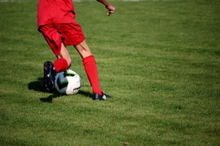 爱游戏体育-俱乐部青训体系与职业联赛脱节，俱乐部青训有工资吗  第1张